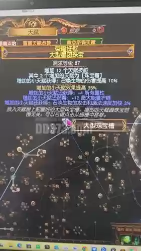 流放之路召唤灵体装备搭配插图1