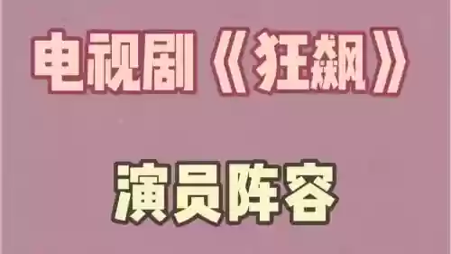 模仿狂飙阵容_1插图