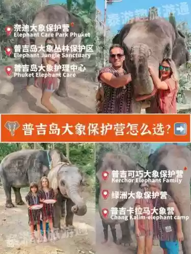大象保护阵容插图