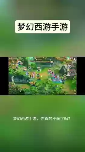 梦幻西游手游应用不支持分屏