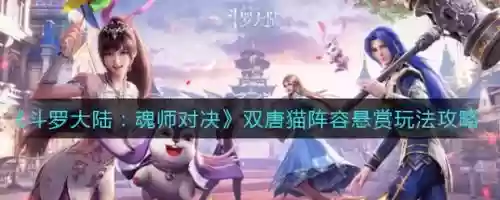 唐猫悬赏阵容速度搭配插图