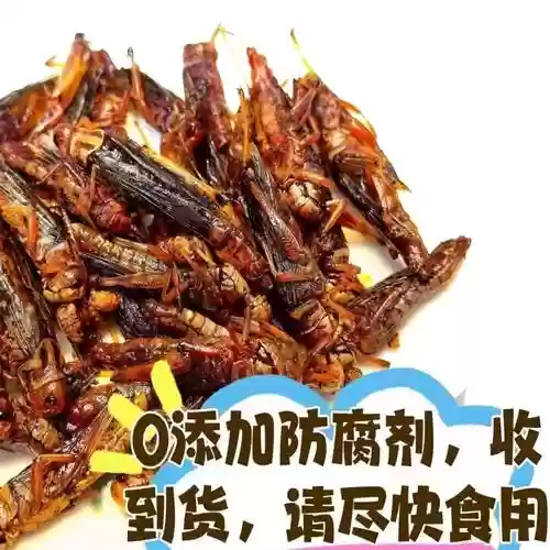S8蚂蚱怎么放技能