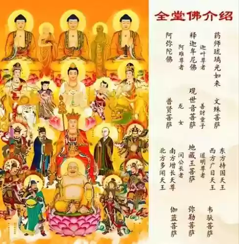 大佛配合阵容搭配