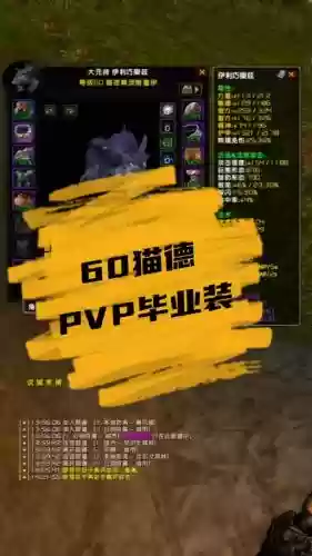 60野德pvp装备选择_1插图