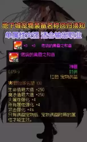 dnf怎么宠物装备强化_1
