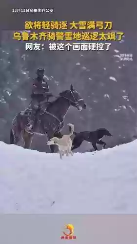 大雪骑马阵容搭配