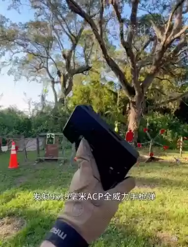 隐藏长柄武器吗插图