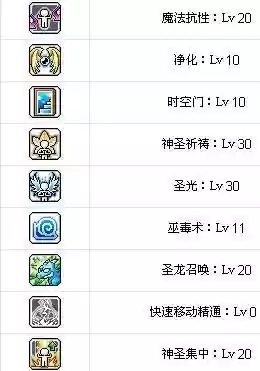 冒险岛祭司怎么加技能点_1插图