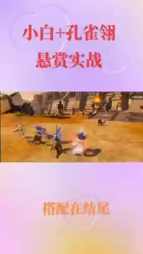 孔雀翎暗三阵容搭配插图