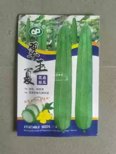 丝瓜适合什么武器插图 丝瓜适合什么武器插图