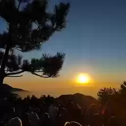 梦幻西游手游哪有可以看日出的插图