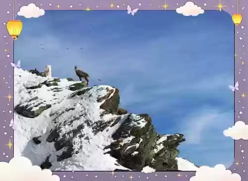 死于冰峰之巅攻略