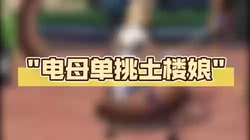 电母怎么搭配阵容插图