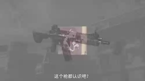 步枪最强阵容搭配_1
