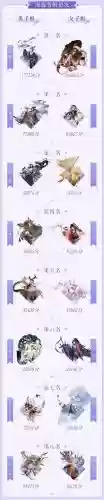 百闻牌八歧大蛇阵容搭配插图