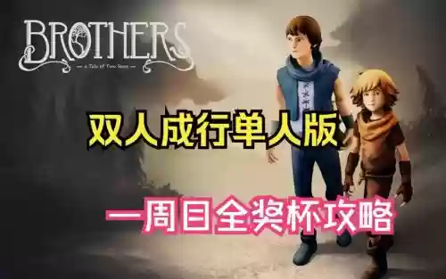 brothers全成就攻略插图