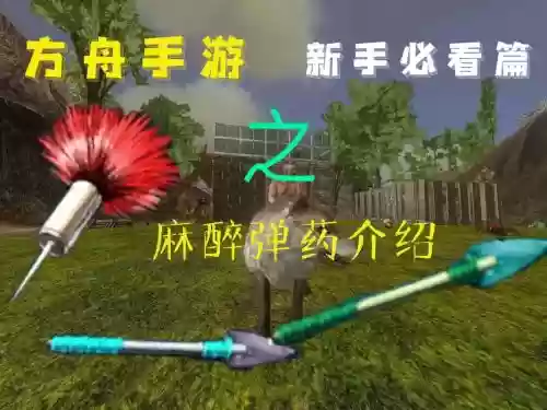 方舟麻醉效果最好的武器插图
