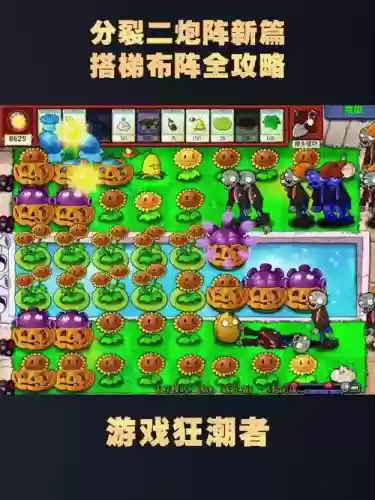 全民大战僵尸阵容搭配推荐