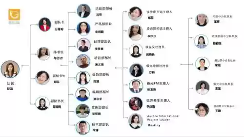 志愿者阵容搭配思路