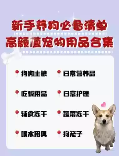 今年宠物装备换哪个牌子好