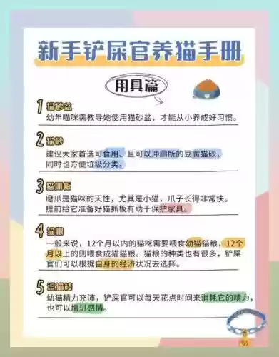 小猫养成记游戏攻略