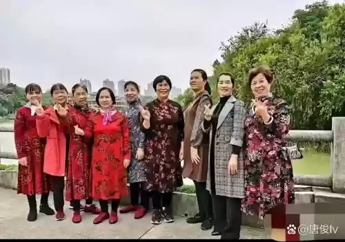 大妈阵容搭配_2