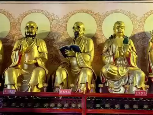 大佛阵容搭配_1