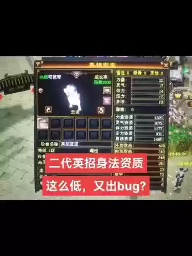 天龙宠物打技能插图
