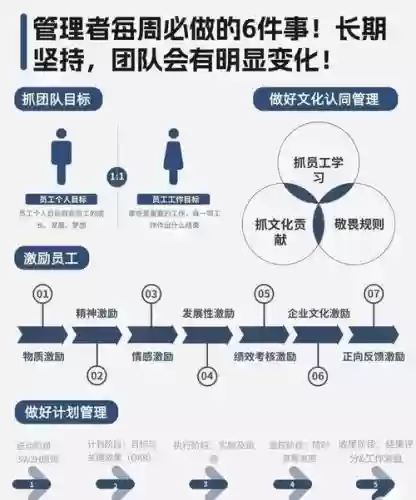 团队最佳阵容搭配图，团队最佳阵容搭配图表