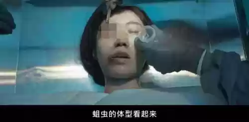 萌新血腥工厂攻略，血腥工作电影插图