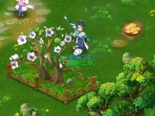 梦幻西游白玉花圃多钱，梦幻西游白玉兰种子卖多少插图