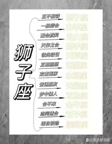 狮子座阵容搭配，1狮子座最搭星座插图