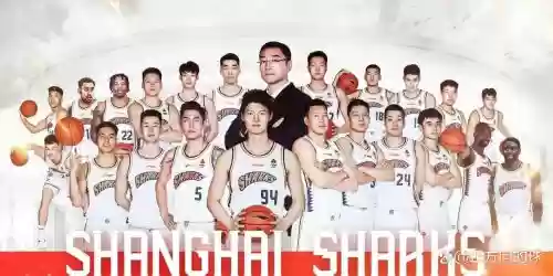 上海男篮最佳搭配阵容，上海男篮 阵容