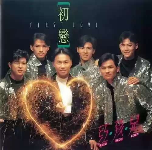 90年代歌星阵容搭配，90年代歌手组合排行榜插图