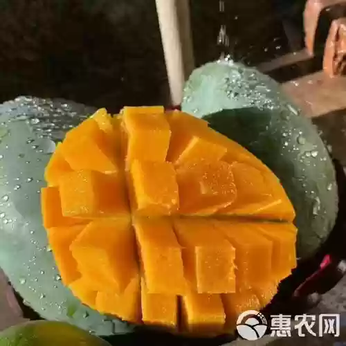 大芒果出生装备，芒果技能