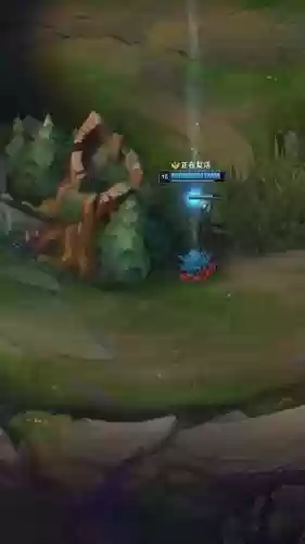 冰鸟变蛋可以放技能吗，冰鸟变成蛋能不能传送