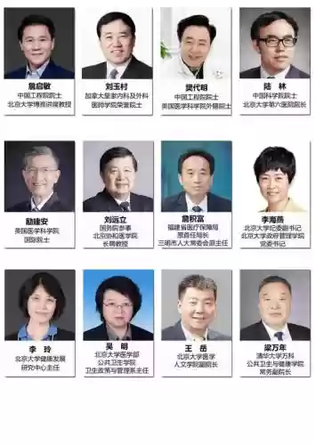 怎么搭配学术专家阵容装备，学术大家插图