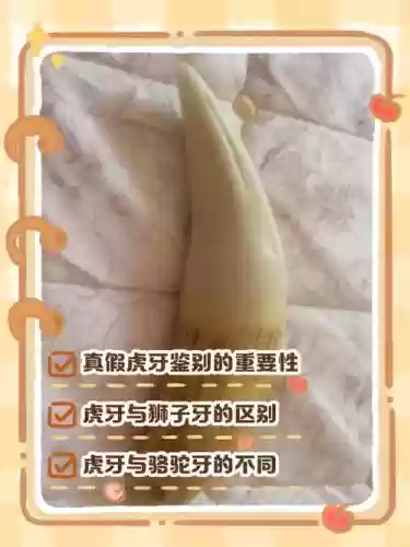 虎牙守护技能，虎牙守护有提成吗插图1
