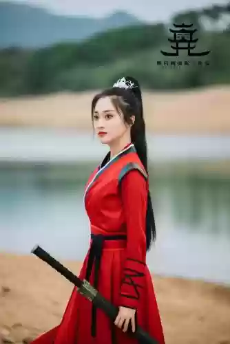 楚乔传h5职业攻略，楚乔传游戏攻略插图
