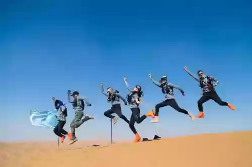 沙漠搭配阵容,沙漠组合插图 沙漠搭配阵容,沙漠组合插图