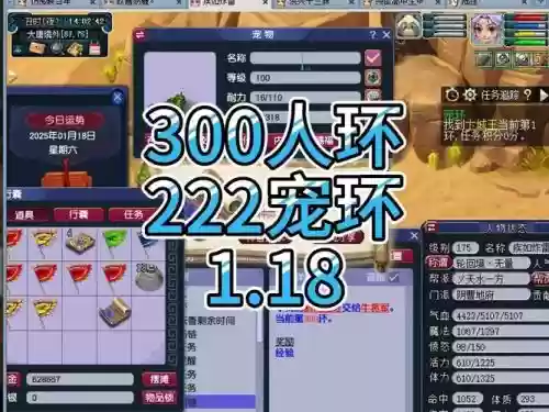 梦幻西游取消宠物环，梦幻西游跑宠物环取消插图1