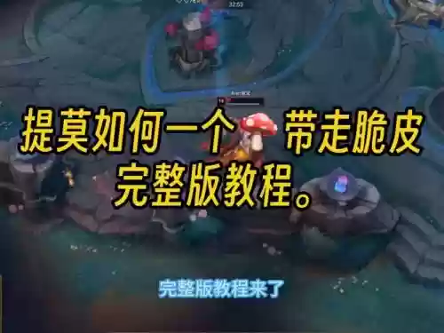 武器大师提莫，武器大师如何打提莫插图